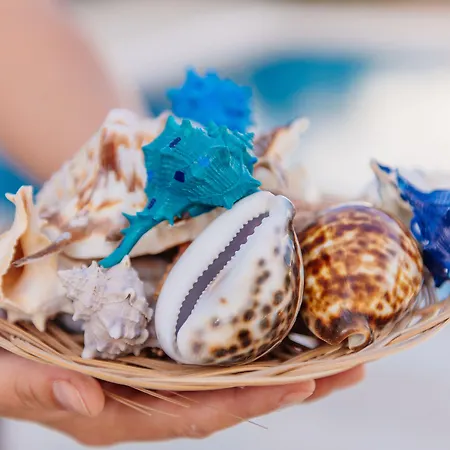 Via Farilya Gundogan (Bodrum)