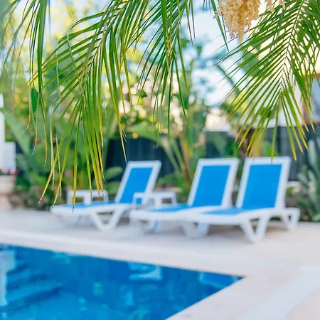 Via Farilya Gundogan (Bodrum)