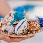 Via Farilya Yalıkavak