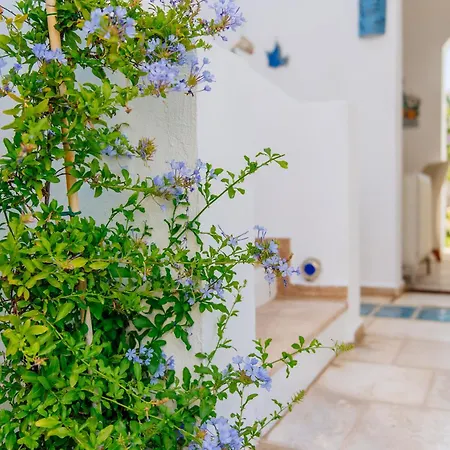 Via Farilya 2* 京多安